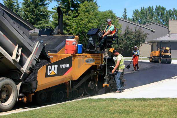 Best Professional Driveway Pavers  in Oak Grove, AL